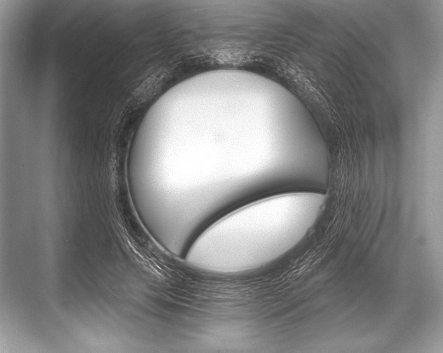 X0000068810639200605050917