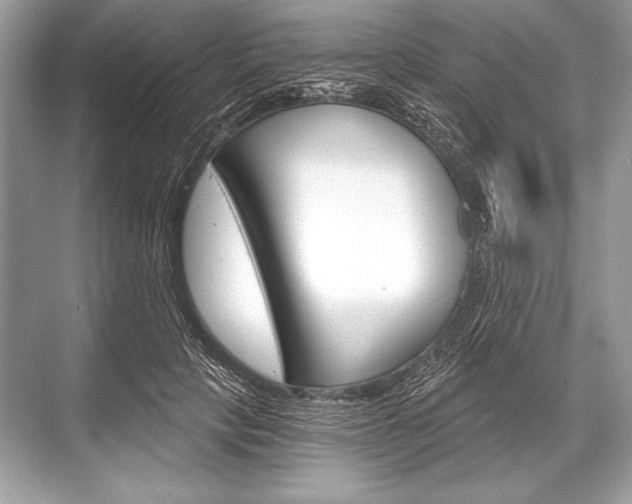 X0000068810649200605050918