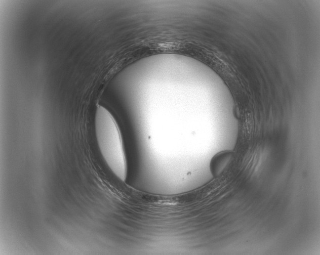 X0000068810651200605050918