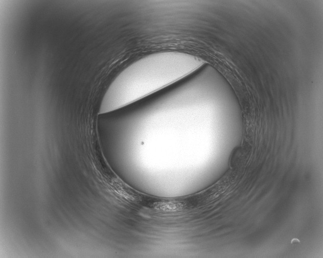 X0000068810652200605050918