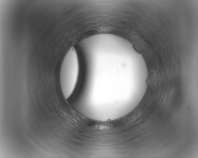 X0000068810655200605050918