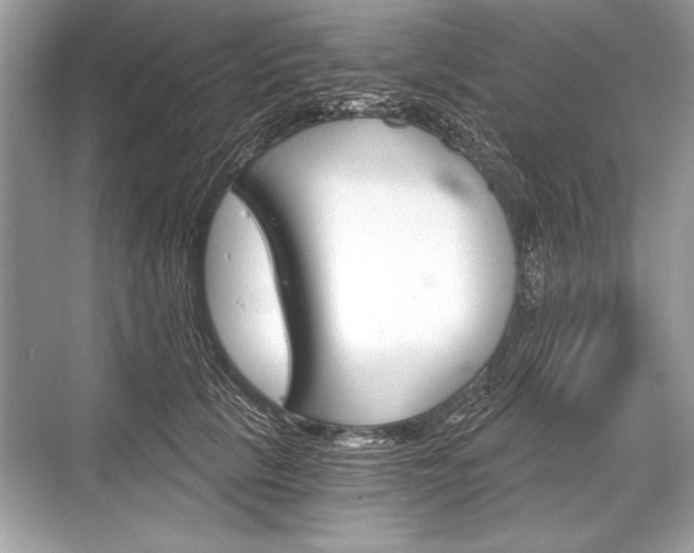 X0000068810657200605050918