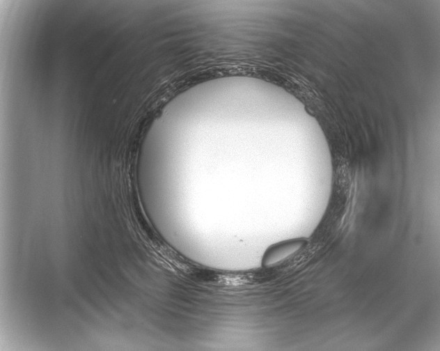 X0000068810662200605050918