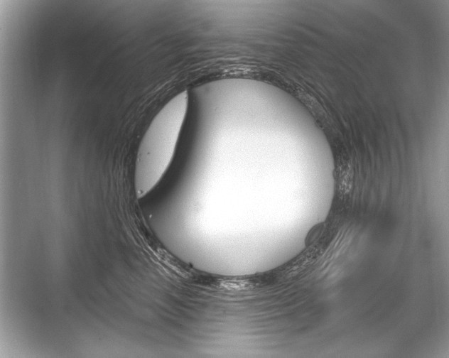 X0000068810666200605050918
