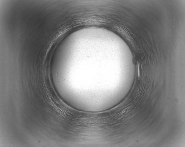 X0000068810675200605050917