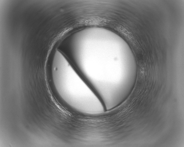X0000068810678200605050917