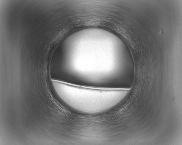 X0000068810681200605050917