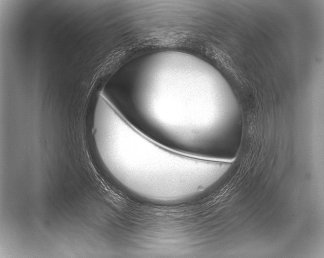 X0000068810685200605050917