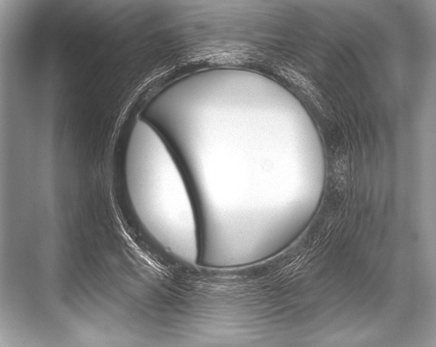X0000068810686200605050917