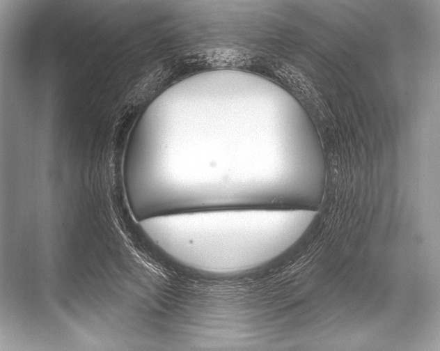 X0000068810690200605050917
