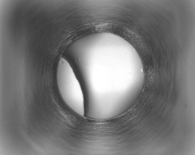 X0000068810698200605050917
