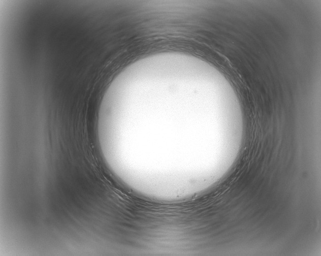 X0000068810701200605050917