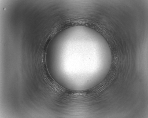 X0000068810708200605050917