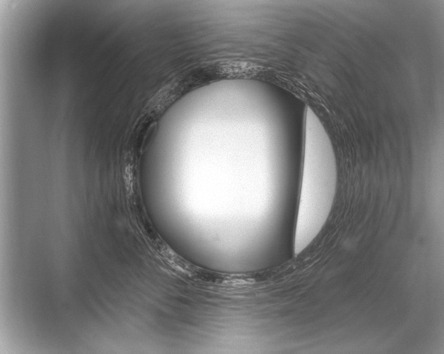 X0000068810716200605050916