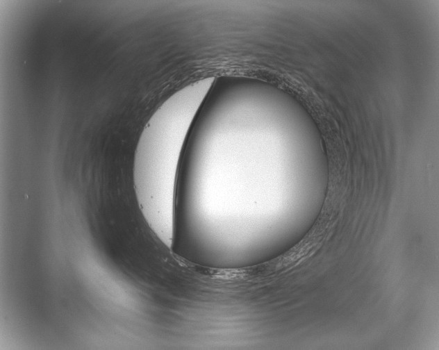 X0000068810720200605050916