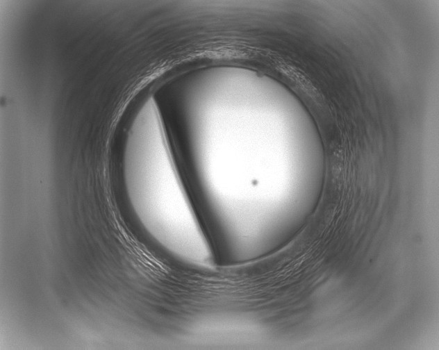 X0000068810727200605050916