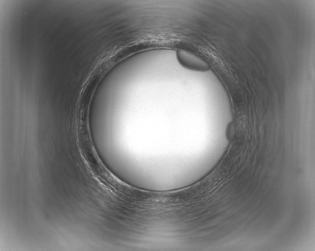 X0000068810736200605050916