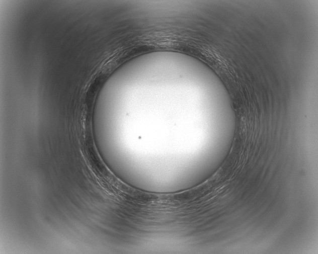 X0000068810739200605050916