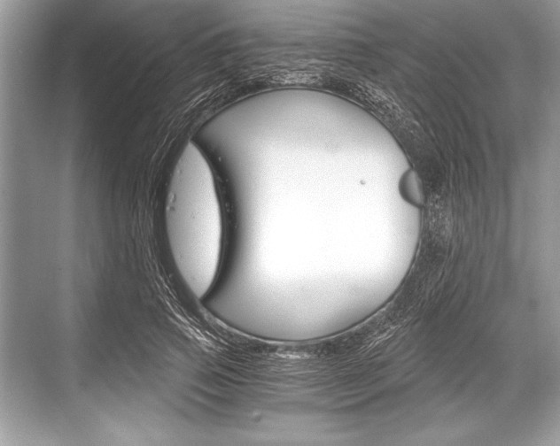 X0000068810741200605050916