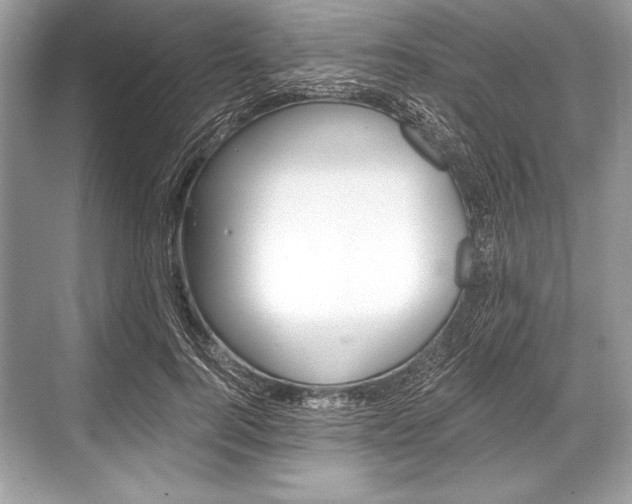 X0000068810744200605050916