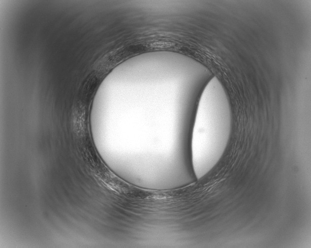 X0000068810745200605050916