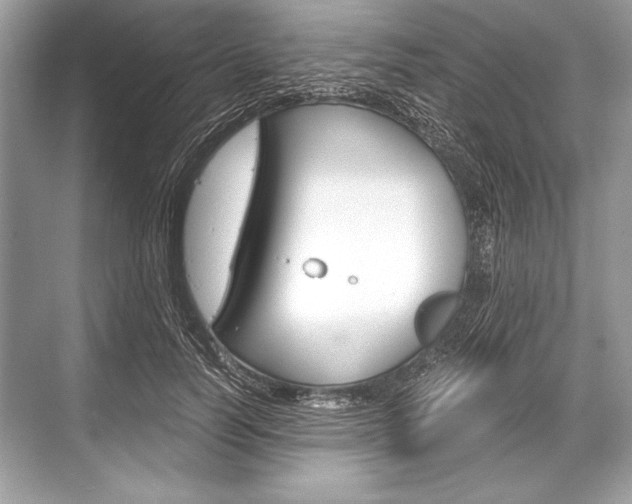 X0000068810746200605050916