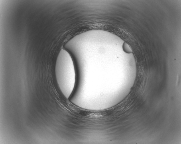 X0000068810749200605050916