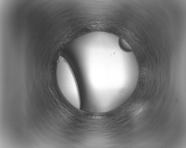 X0000068810751200605050916