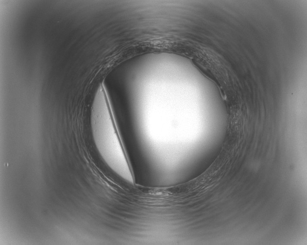 X0000068810752200605050916