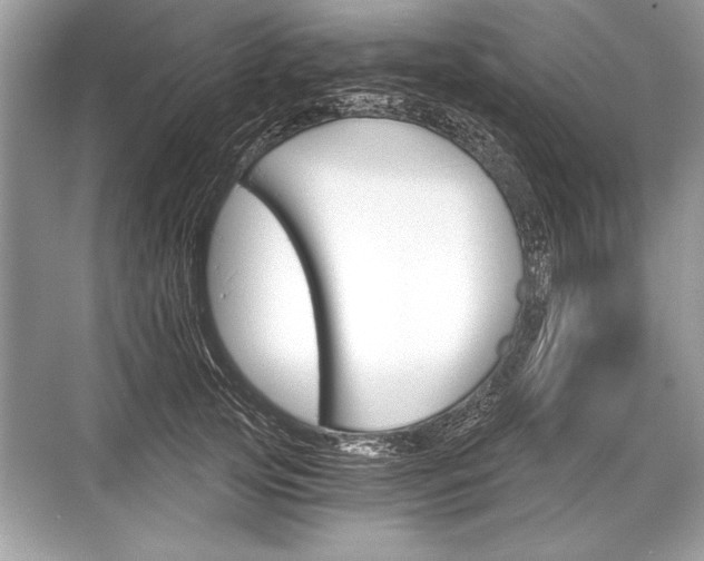 X0000068810753200605050916