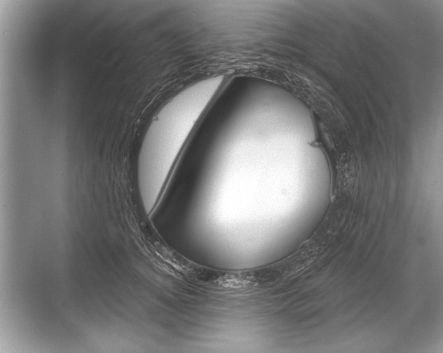 X0000068810756200605050916