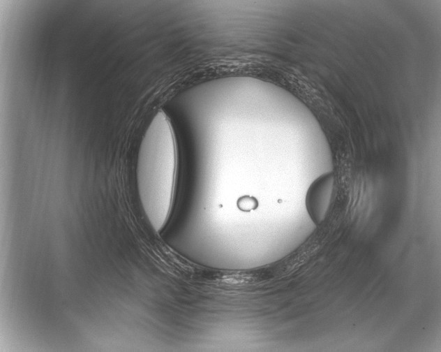 X0000068810758200605050916