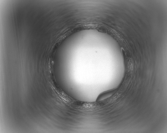 X0000068810764200605050916