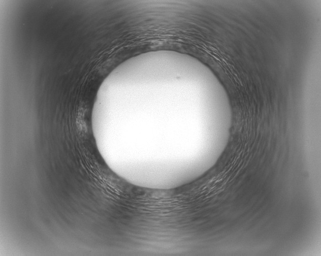 X0000068810770200605050916