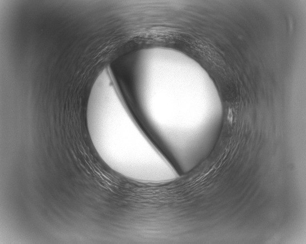 X0000068810771200605050916