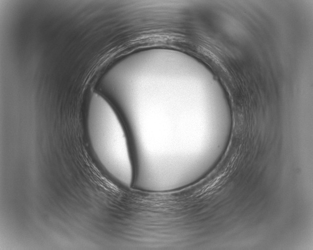 X0000068810778200605050915