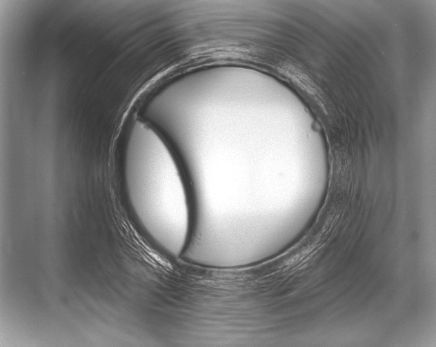 X0000068810782200605050915