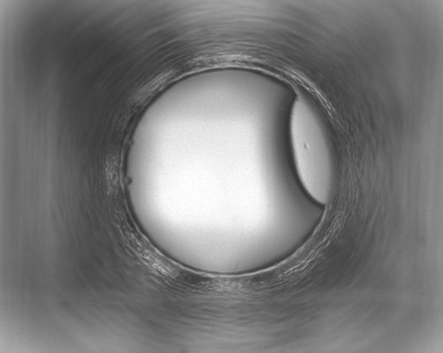 X0000068810785200605050915