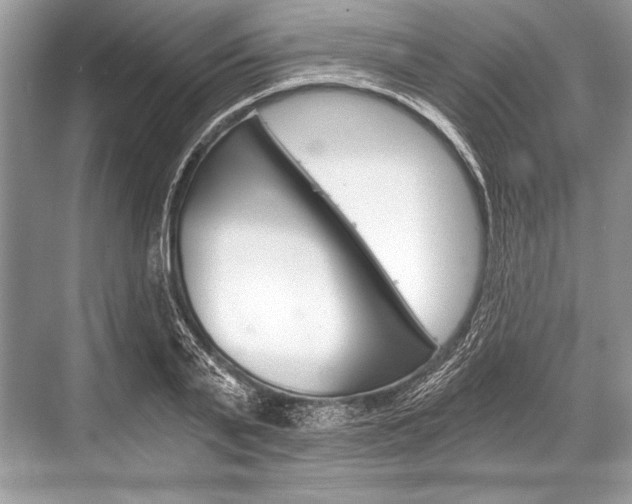 X0000068810791200605050915
