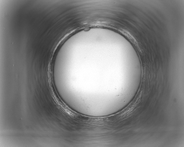 X0000068810798200605050915