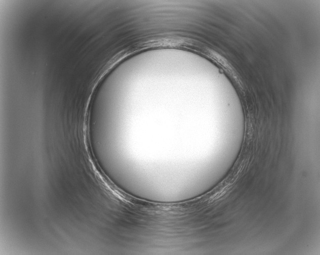 X0000068810802200605050915