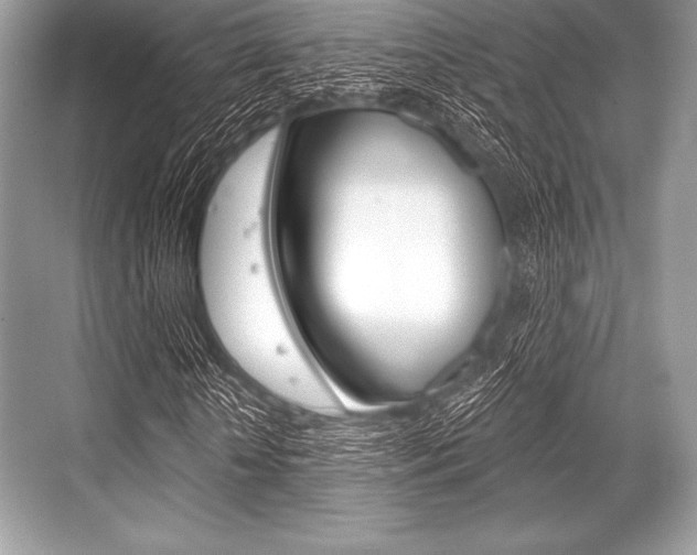 X0000068810818200605050914