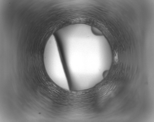 X0000068810819200605050914
