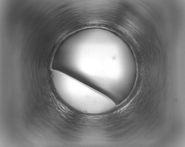 X0000068810825200605050914