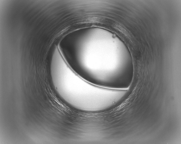 X0000068810826200605050914