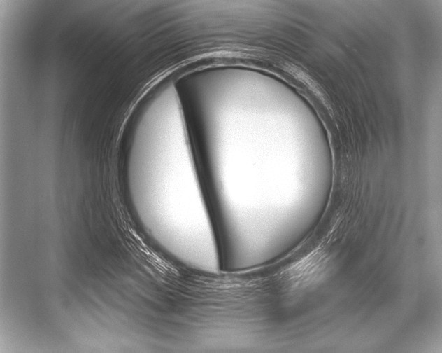 X0000068810829200605050914