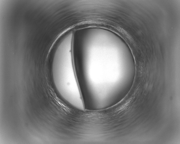 X0000068810830200605050914