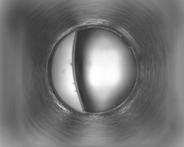 X0000068810834200605050914