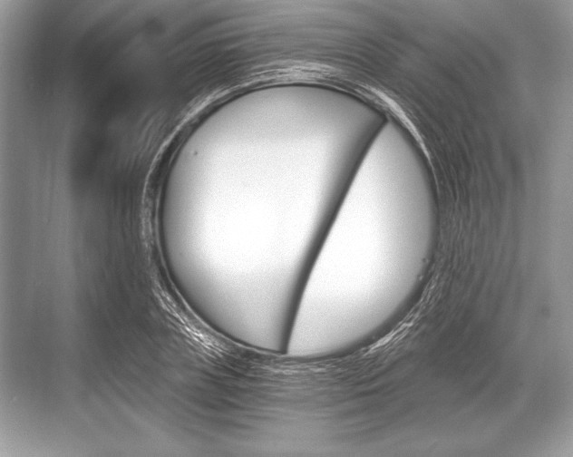 X0000068810835200605050914