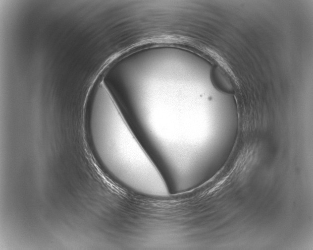 X0000068810837200605050914